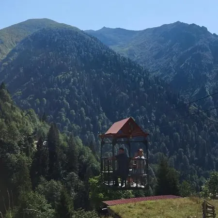 Yayla Bungalov Ayder Yaylasi Exterior photo
