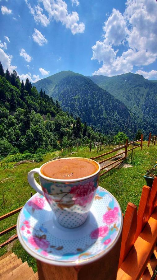 Yayla Chalet Ayder Yaylasi