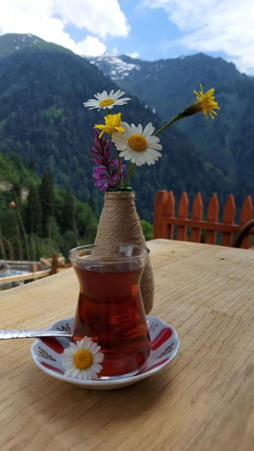 Yayla Chalet *