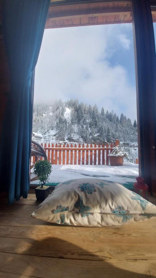Yayla