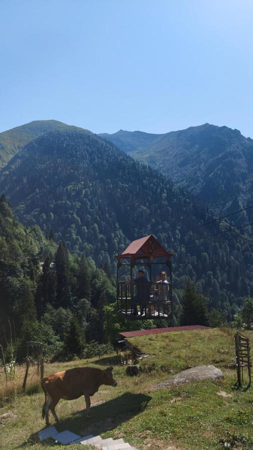 Yayla Chalet *