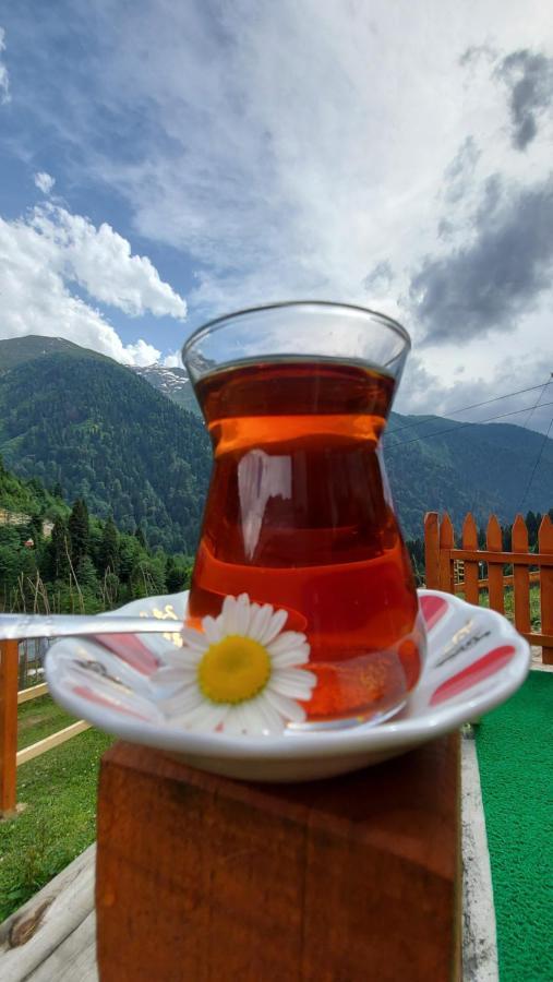 Yayla * Ayder Yaylasi