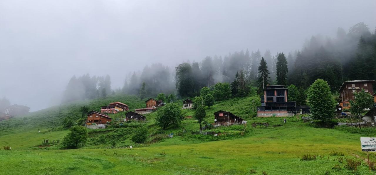 Yayla