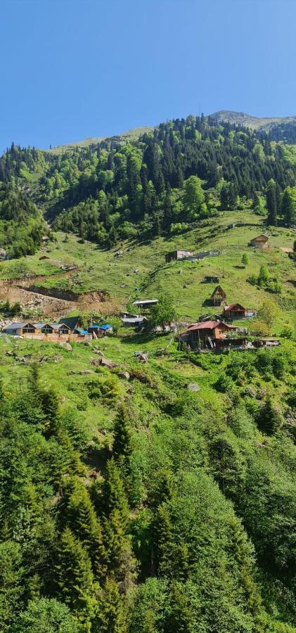 Yayla Chalet Ayder Yaylasi