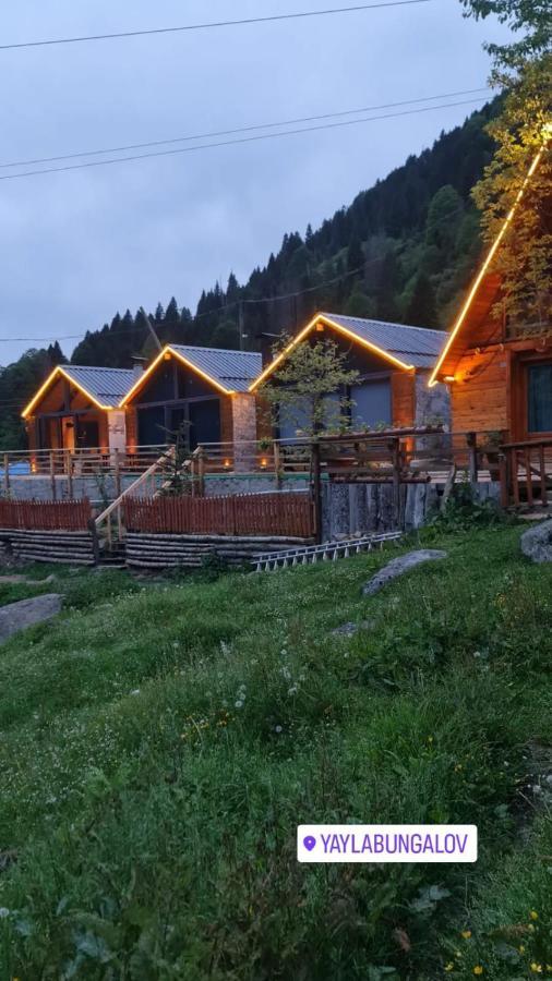 Yayla Chalet Ayder Yaylasi