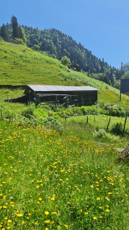 Yayla Ayder Yaylasi