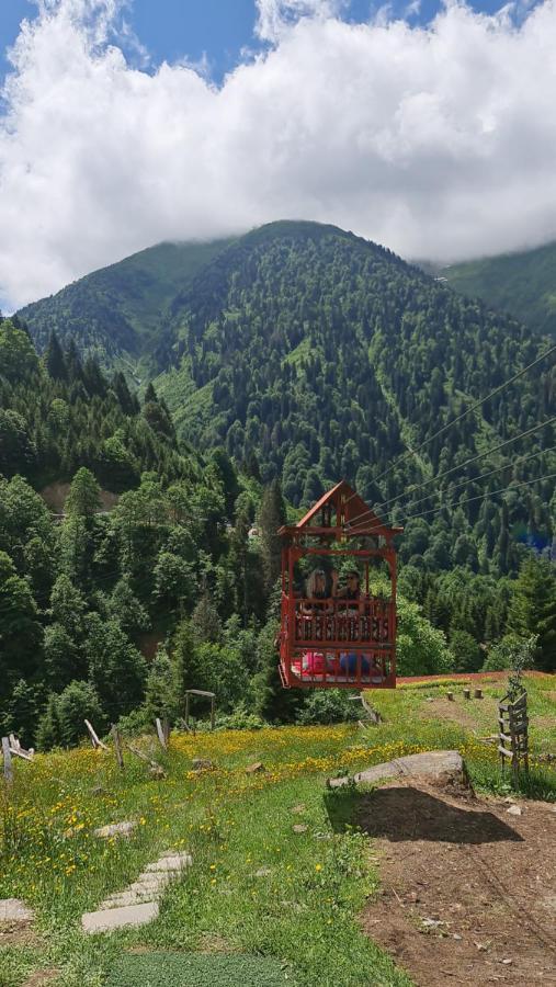 Chalet Yayla *